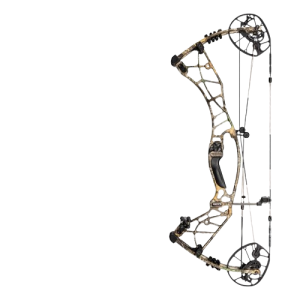 Hoyt Axius